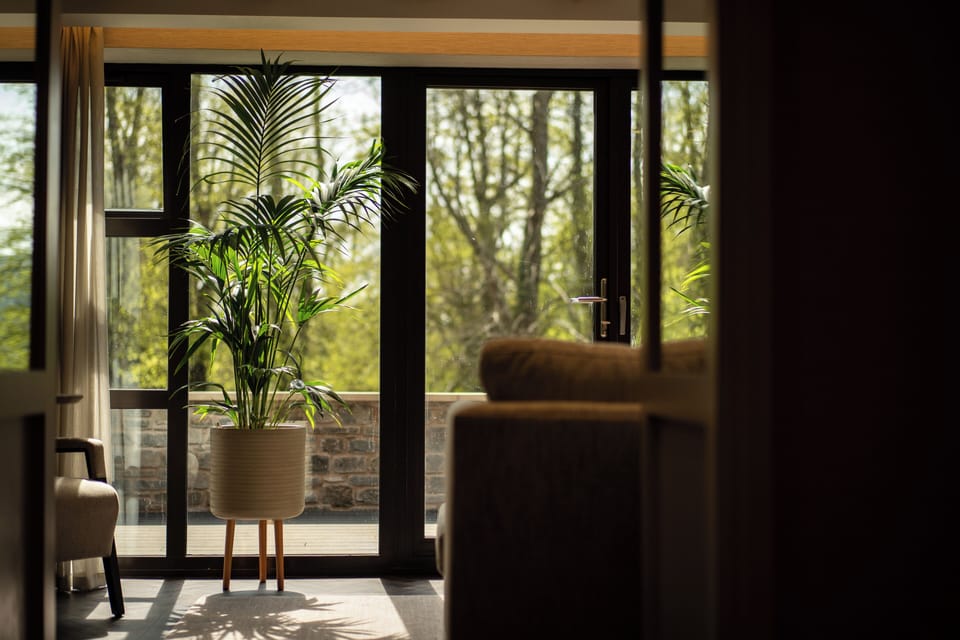 Garden Suite | Egyptian cotton sheets, hypo-allergenic bedding, individually decorated