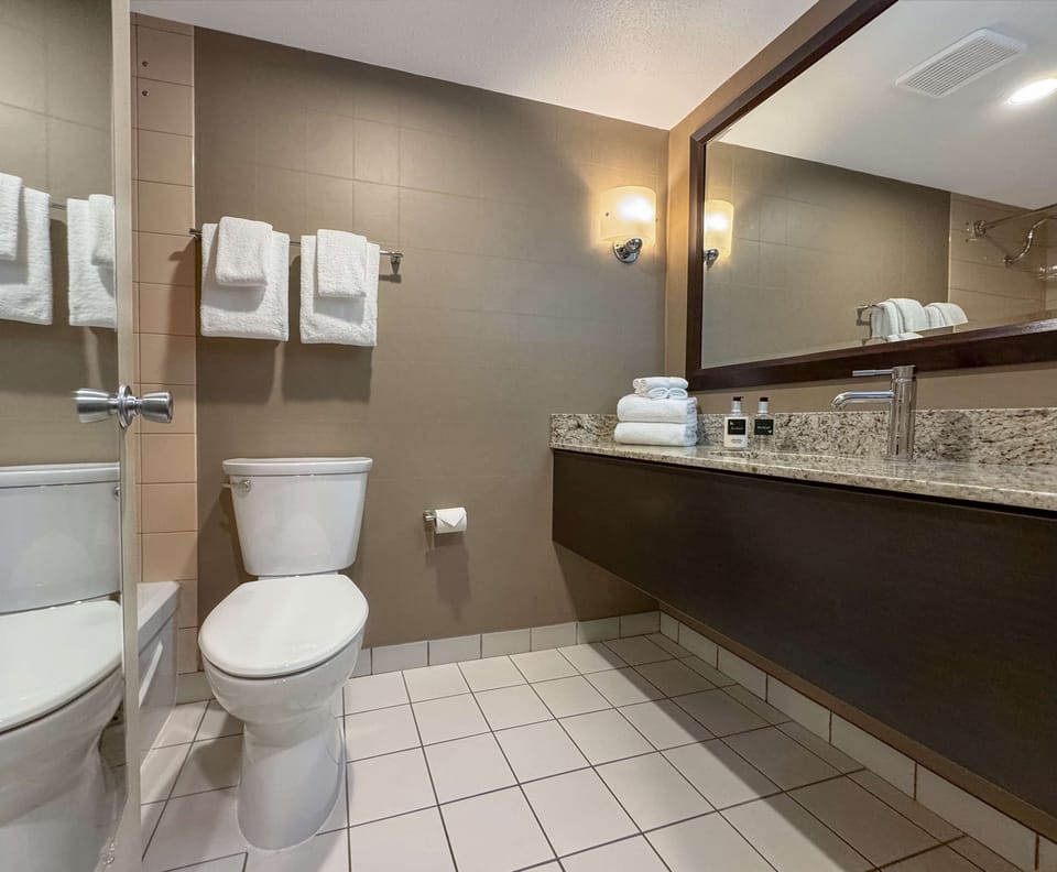 Combined shower/tub, eco-friendly toiletries, hair dryer, towels