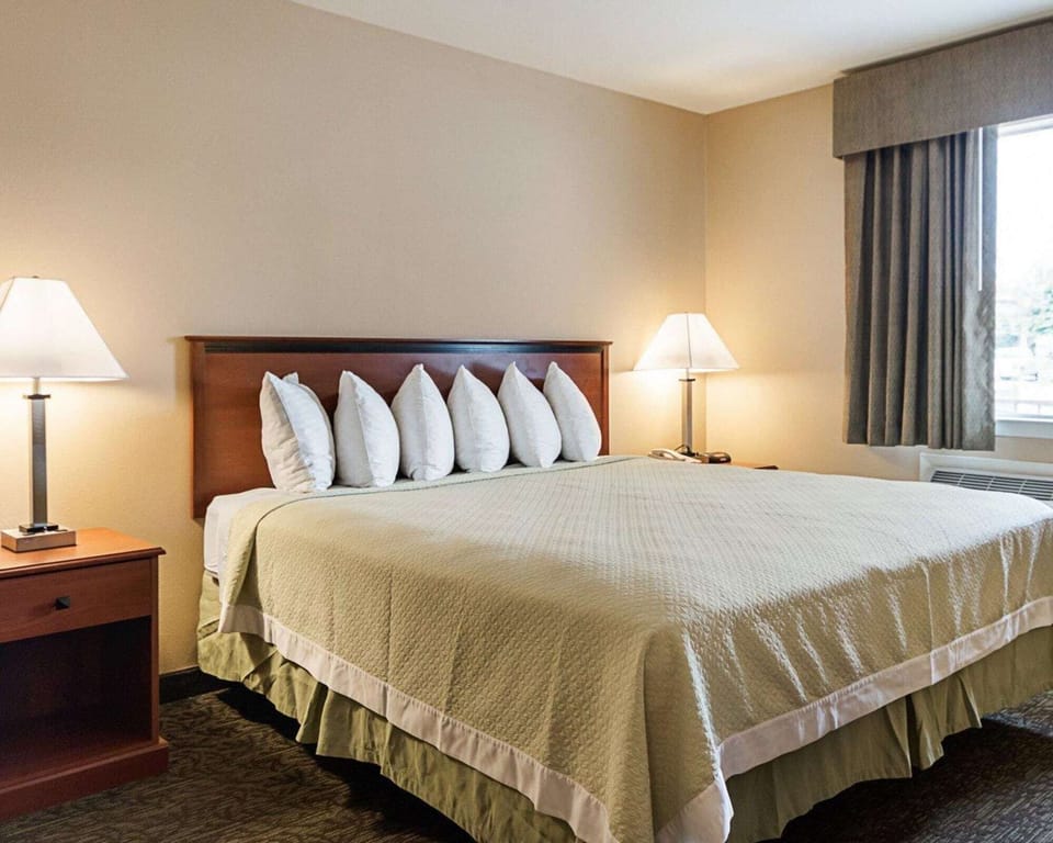 Room, 1 King Bed, Accessible, Non Smoking | Desk, laptop workspace, blackout drapes, soundproofing