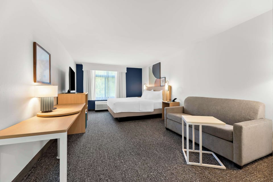 Room, 1 King Bed with Sofa bed | Living area | Flat-screen TV