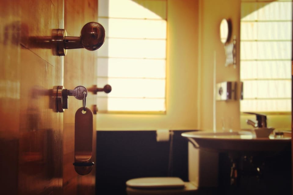 Combined shower/tub, free toiletries, hair dryer, towels