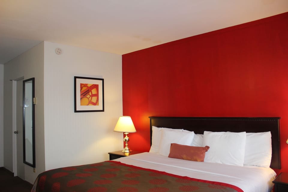 Standard Room, 1 King Bed, Non Smoking | Blackout drapes, iron/ironing board, free WiFi, bed sheets