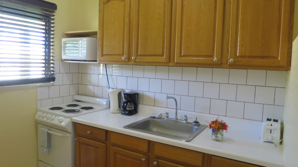 Studio, Kitchenette | Private kitchen | Coffee/tea maker, microwave, electric kettle, toaster