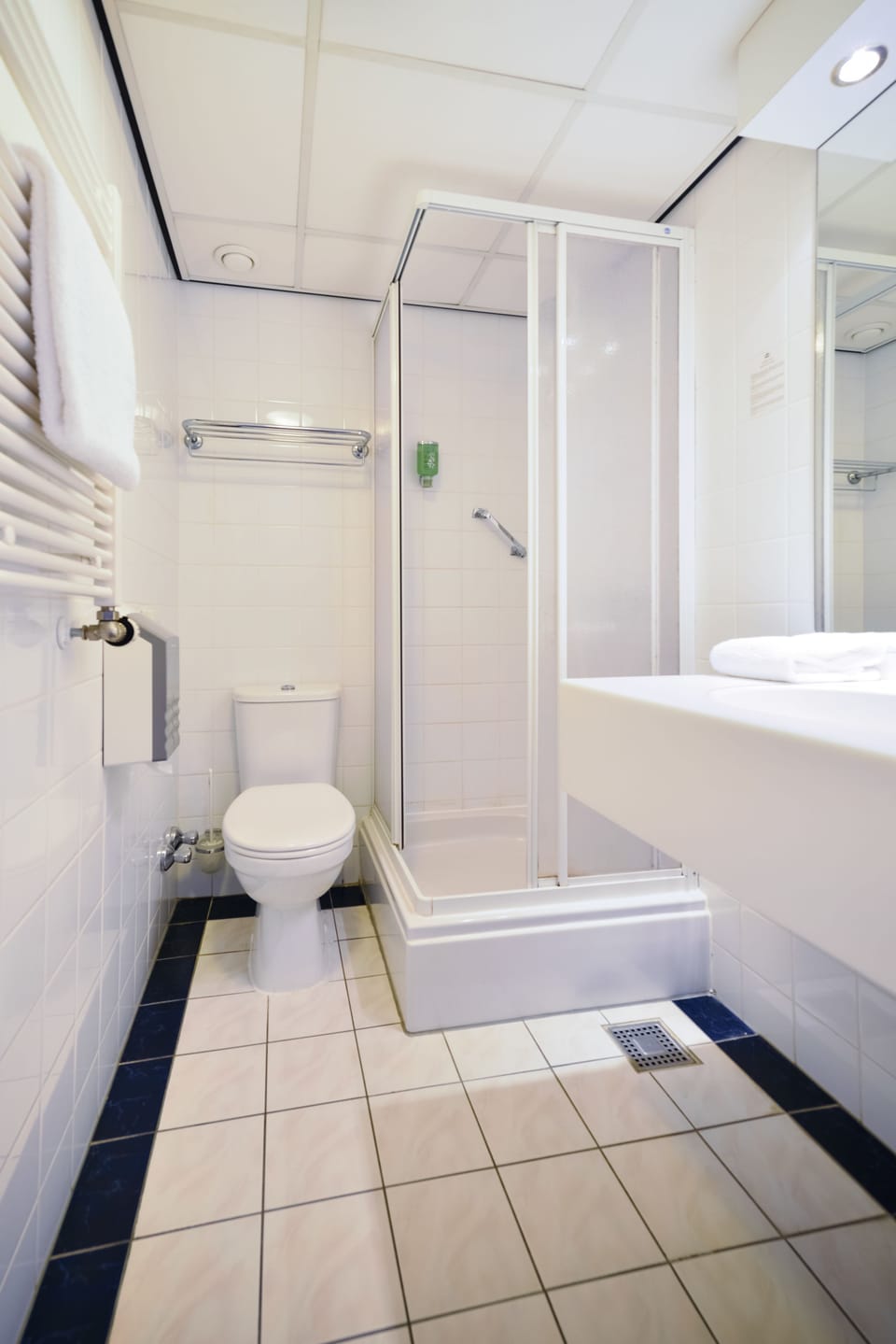 Eco-friendly toiletries, hair dryer, towels