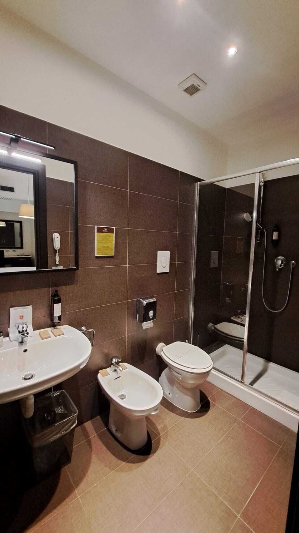 Superior Double or Twin Room | Bathroom | Shower, free toiletries, hair dryer, slippers