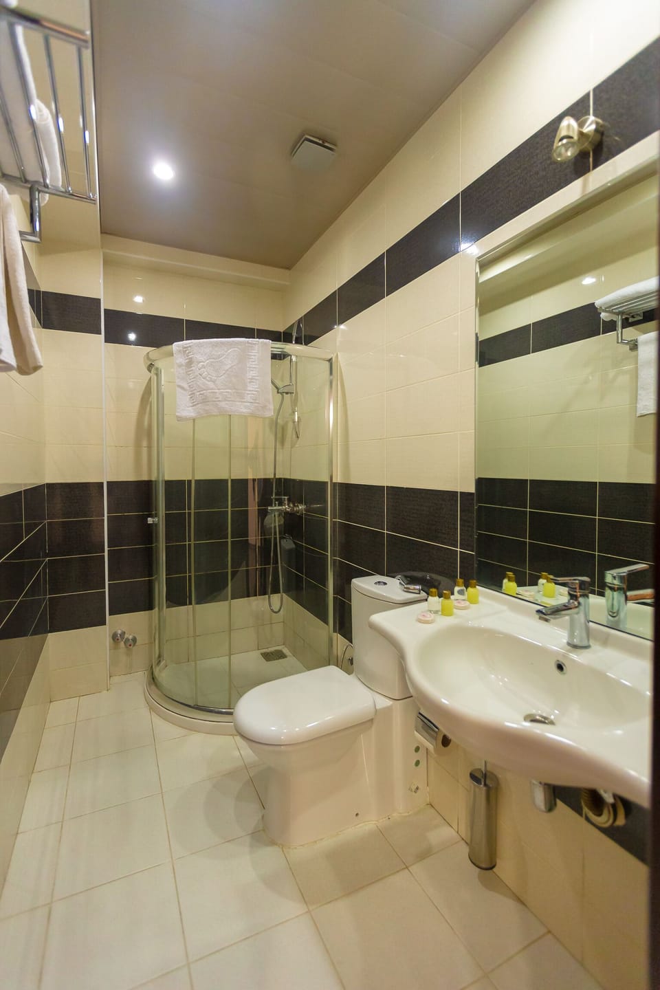 Single Room | Bathroom | Free toiletries, hair dryer, towels, soap