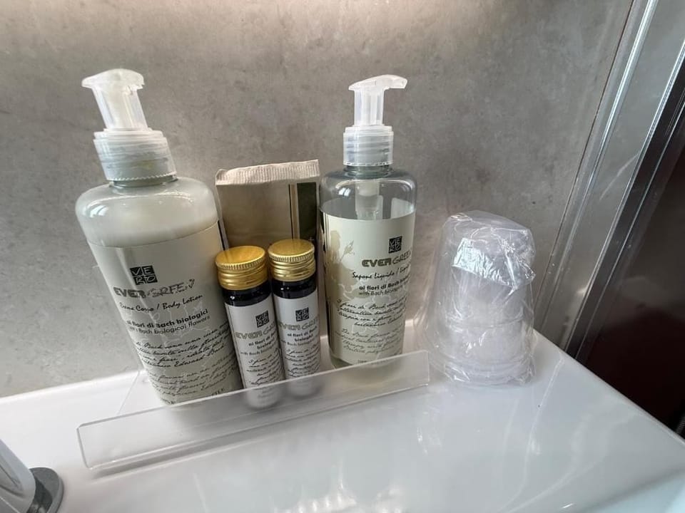Shower, free toiletries, hair dryer, bidet