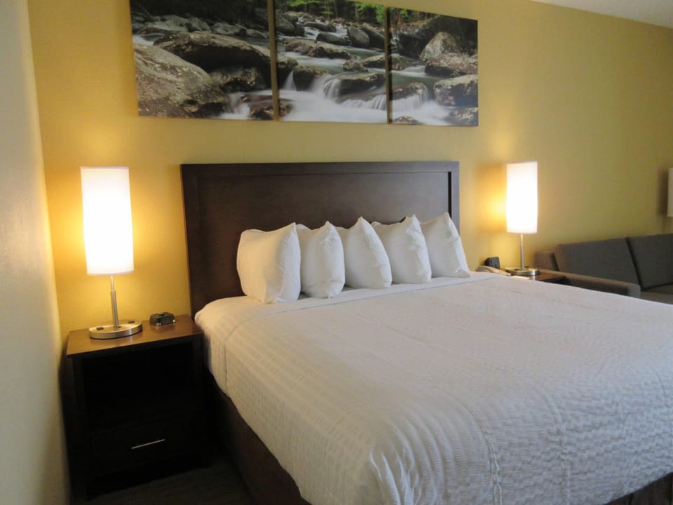 Room, 1 King Bed, Non Smoking | Premium bedding, pillowtop beds, in-room safe, desk