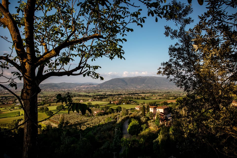 City view from property