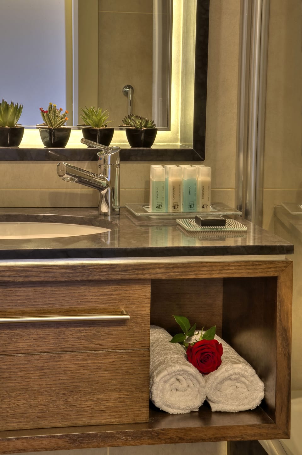 Free toiletries, hair dryer, towels