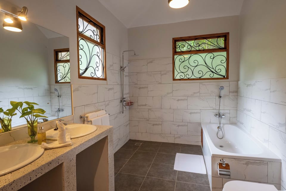 Standard Twin Room | Bathroom | Shower, rainfall showerhead, hair dryer, towels