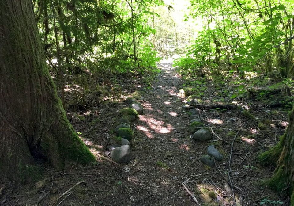 Cabin, 5 Bedrooms | Property grounds