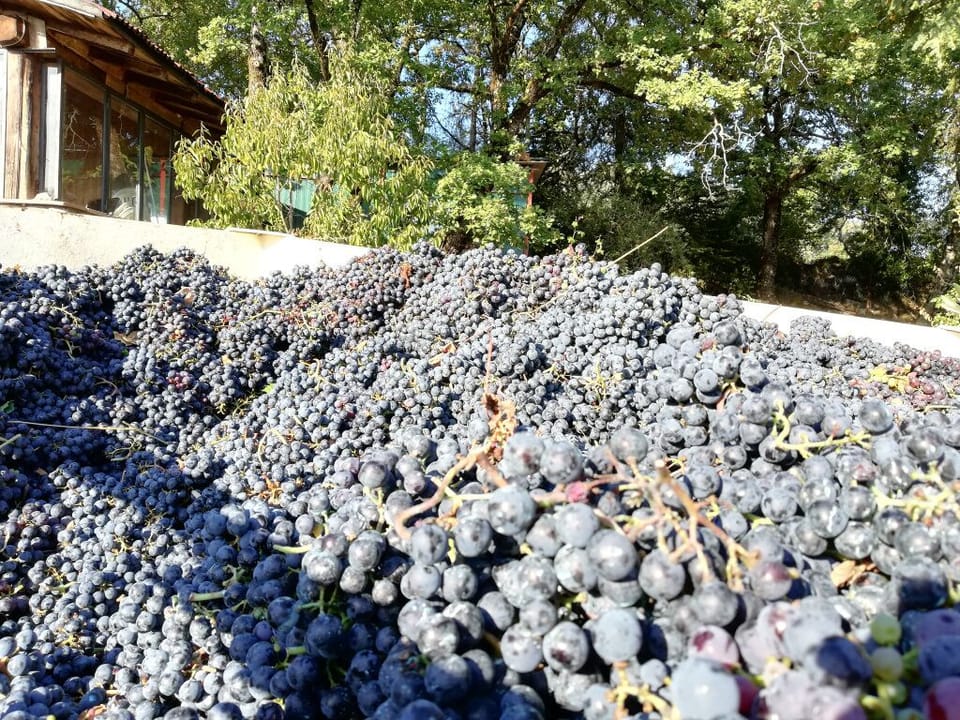 Winery