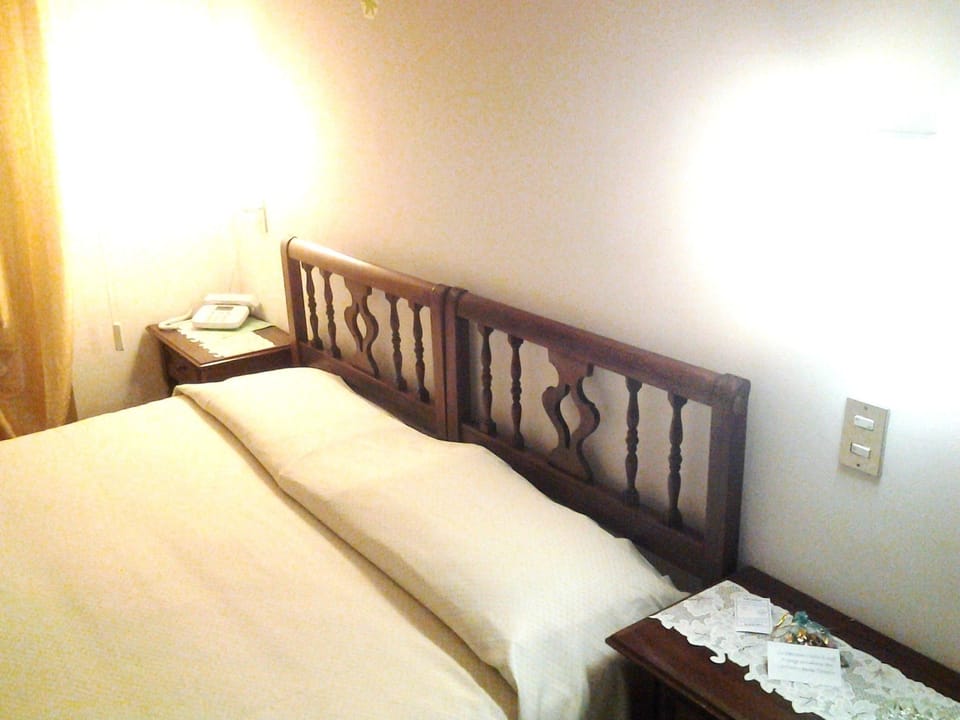 Standard Double Room, City View | In-room safe, desk, cribs (surcharge), WiFi (free)