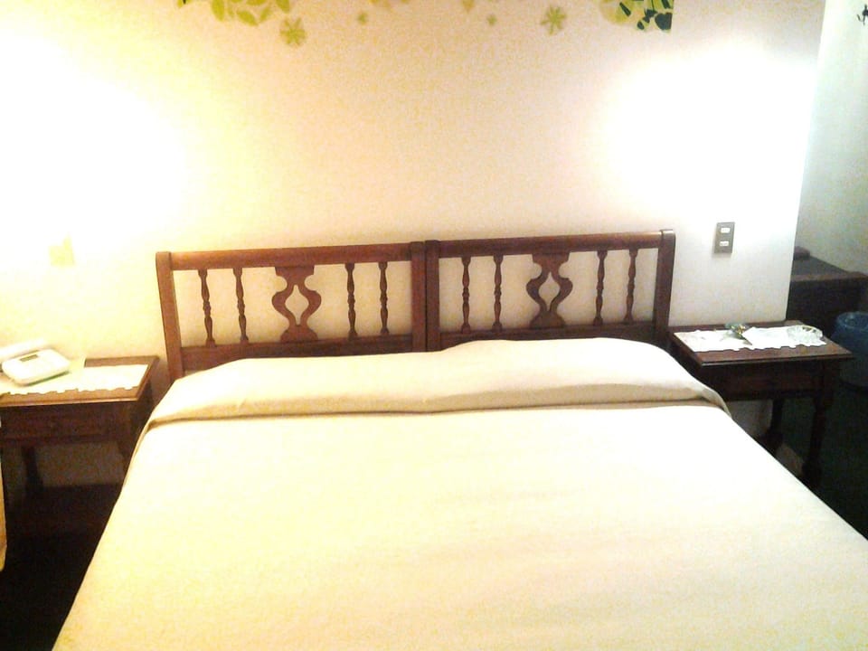Standard Double Room, City View | In-room safe, desk, cribs (surcharge), WiFi (free)