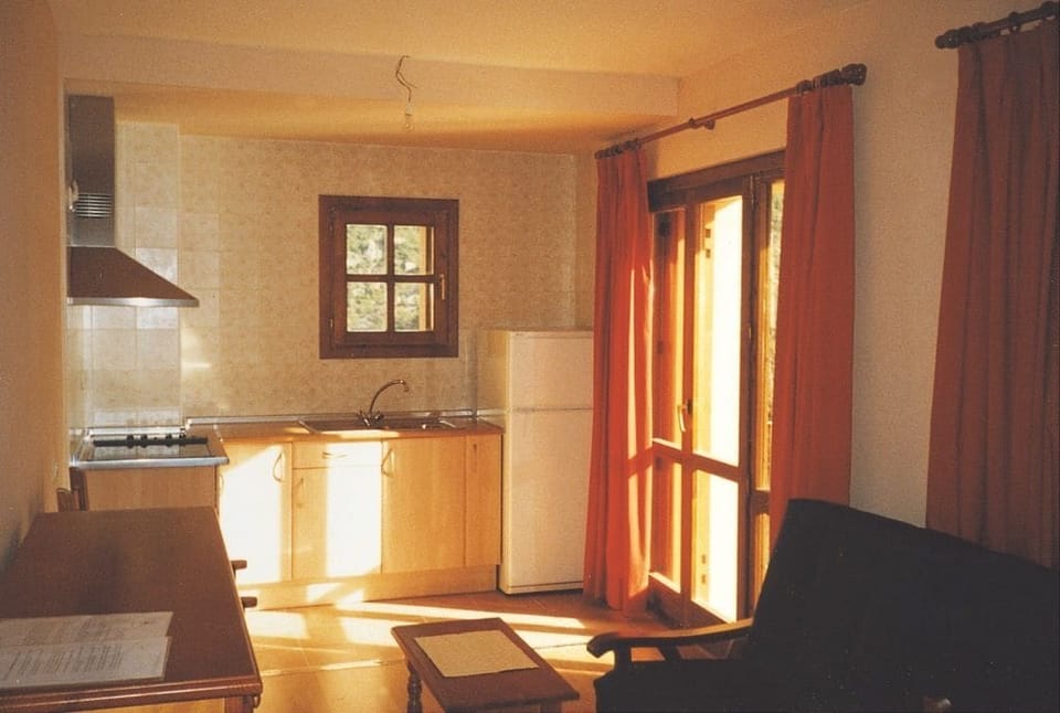 Apartment, 1 Bedroom | Private kitchenette