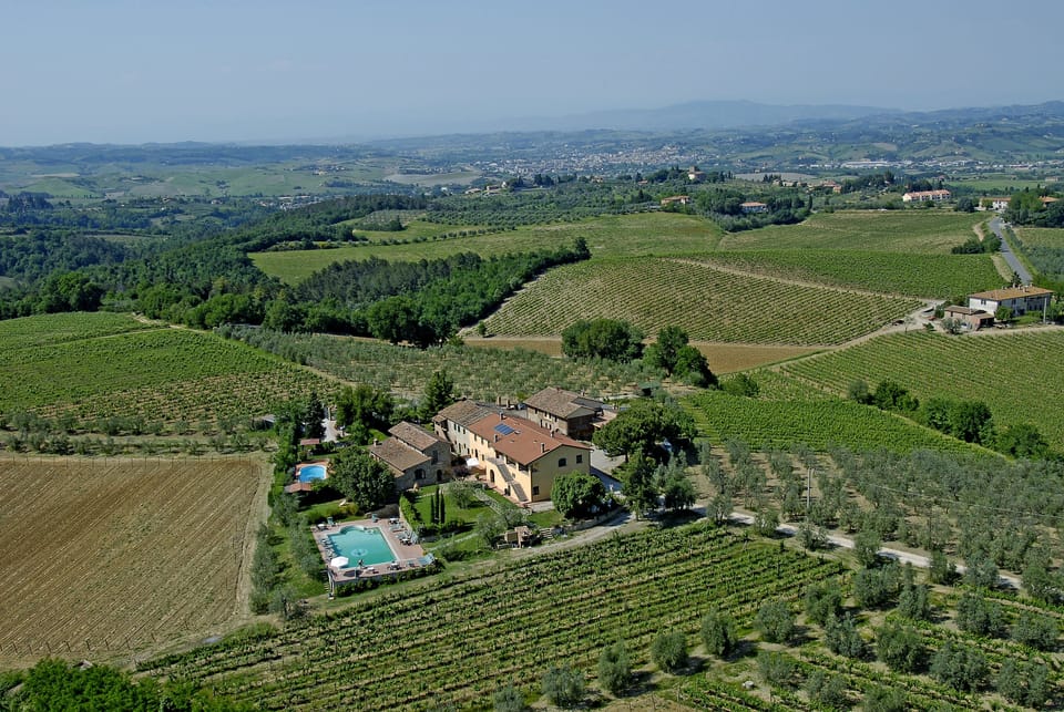 Vineyard