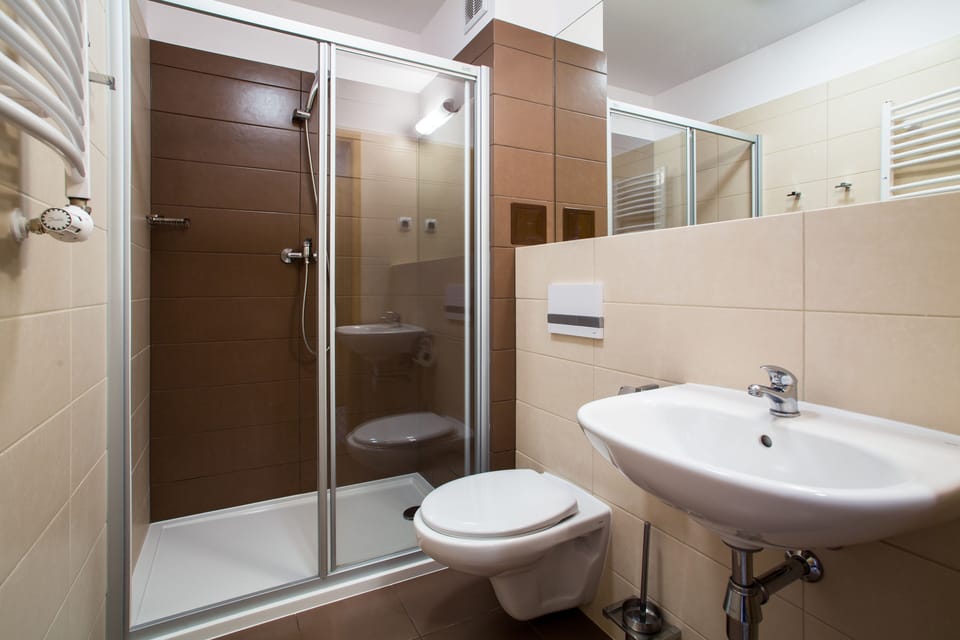 Shower, free toiletries, hair dryer, towels