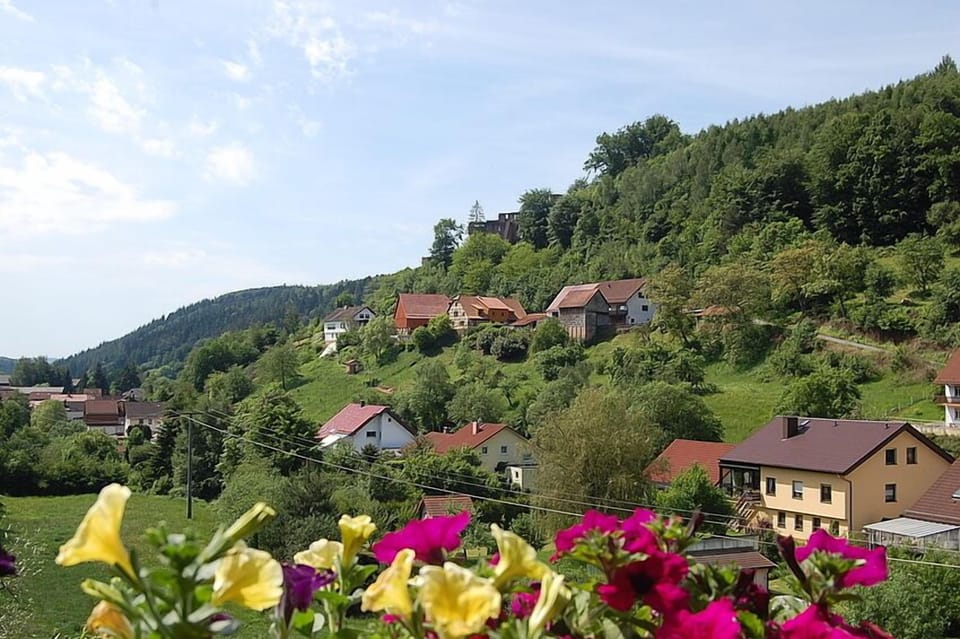 Comfort Room, Balcony, Valley View | View from room