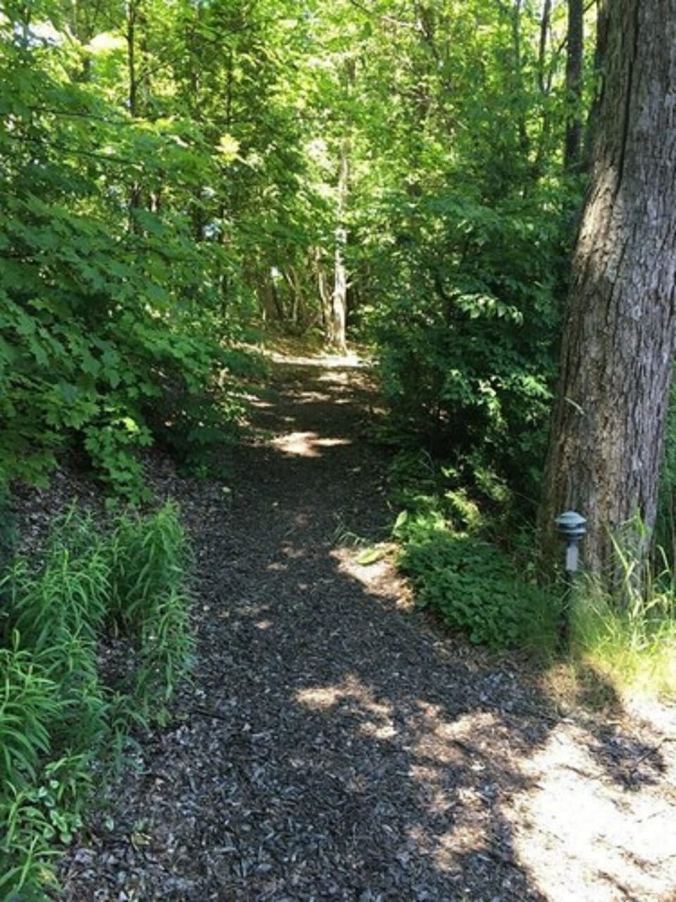 Indoor pool, seasonal outdoor pool, sun loungers
