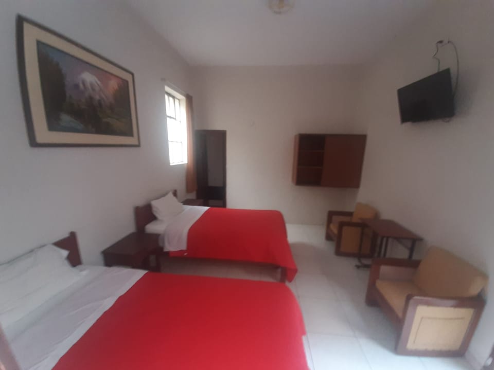 Twin Room | Desk, iron/ironing board, rollaway beds, free WiFi