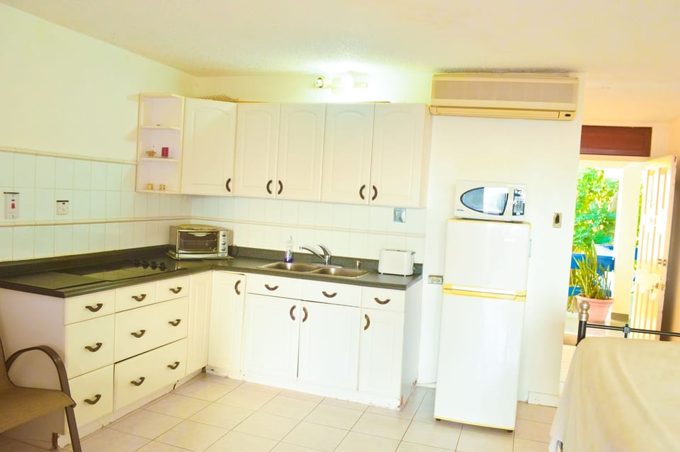 Comfort Apartment, Ocean View | Private kitchen | Full-size fridge, stovetop