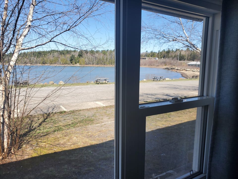 Single Room with Lake View | Individually decorated, individually furnished, desk, blackout drapes