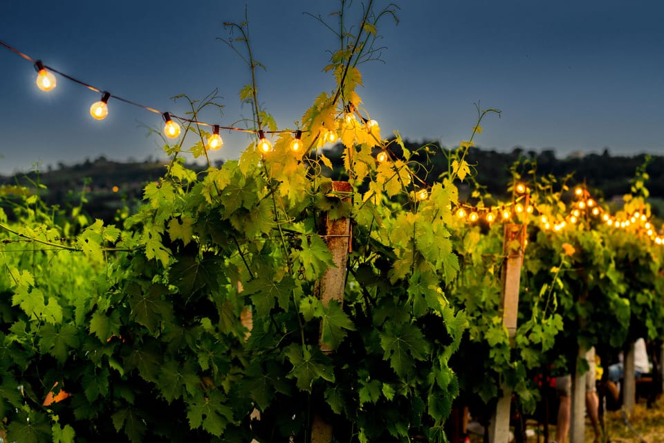 Winery
