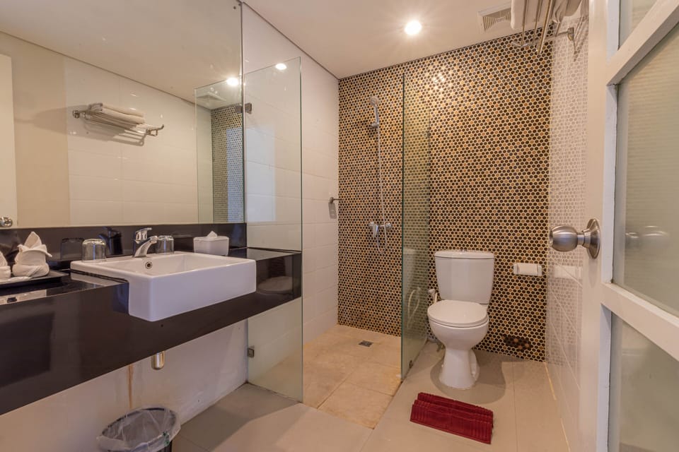 Shower, free toiletries, slippers, towels