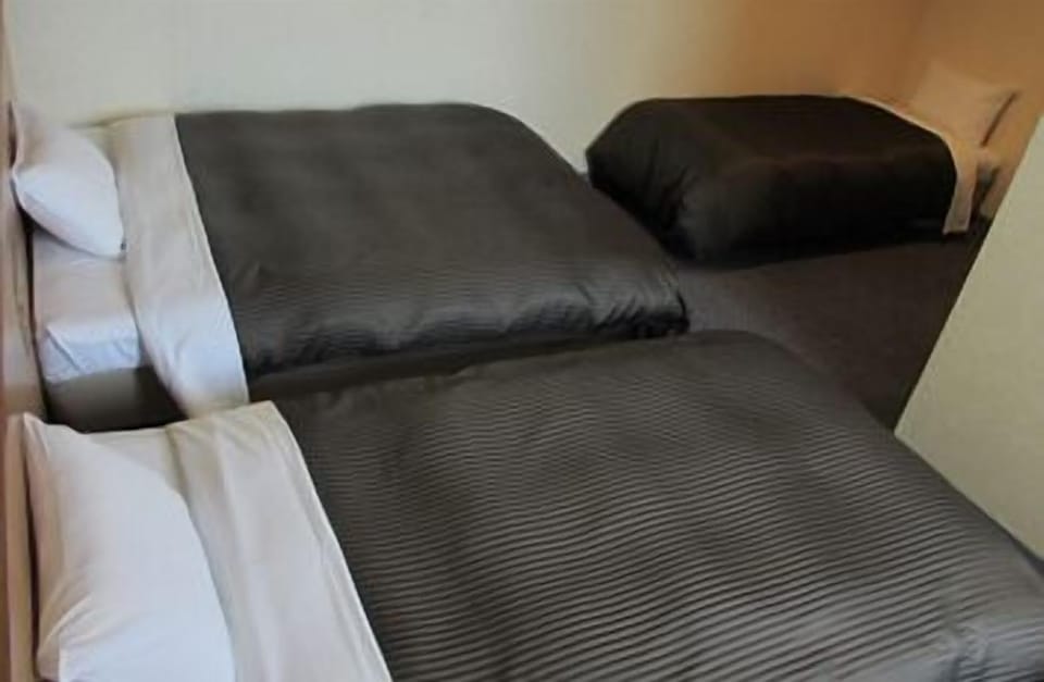 Triple Room, Smoking | Desk, iron/ironing board, free WiFi