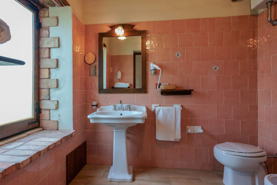 Shower, free toiletries, hair dryer, bidet