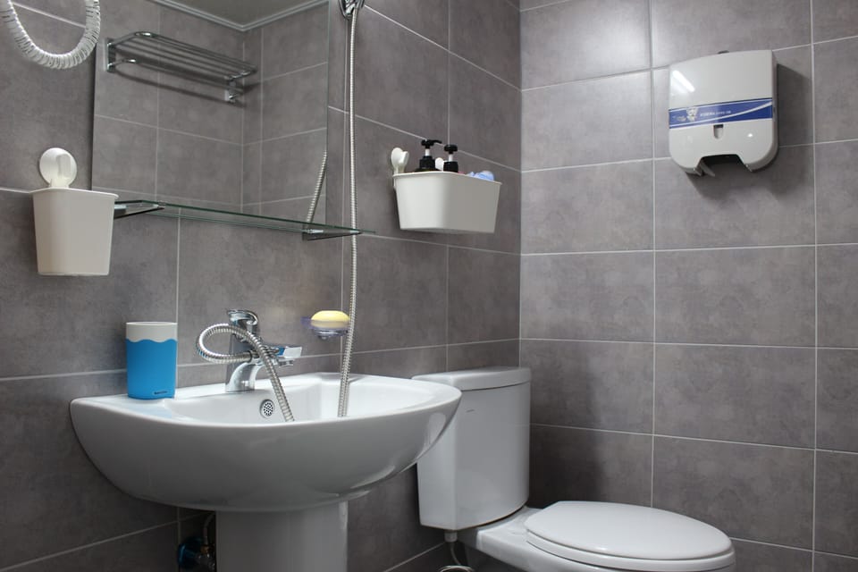 Economy Double Room | Bathroom | Shower, free toiletries, hair dryer, slippers