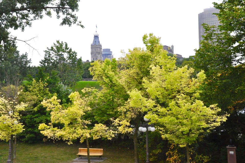 View from property