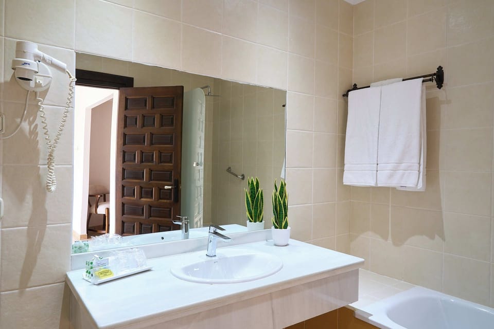 Twin Room | Bathroom | Bathtub, hair dryer, bidet, towels