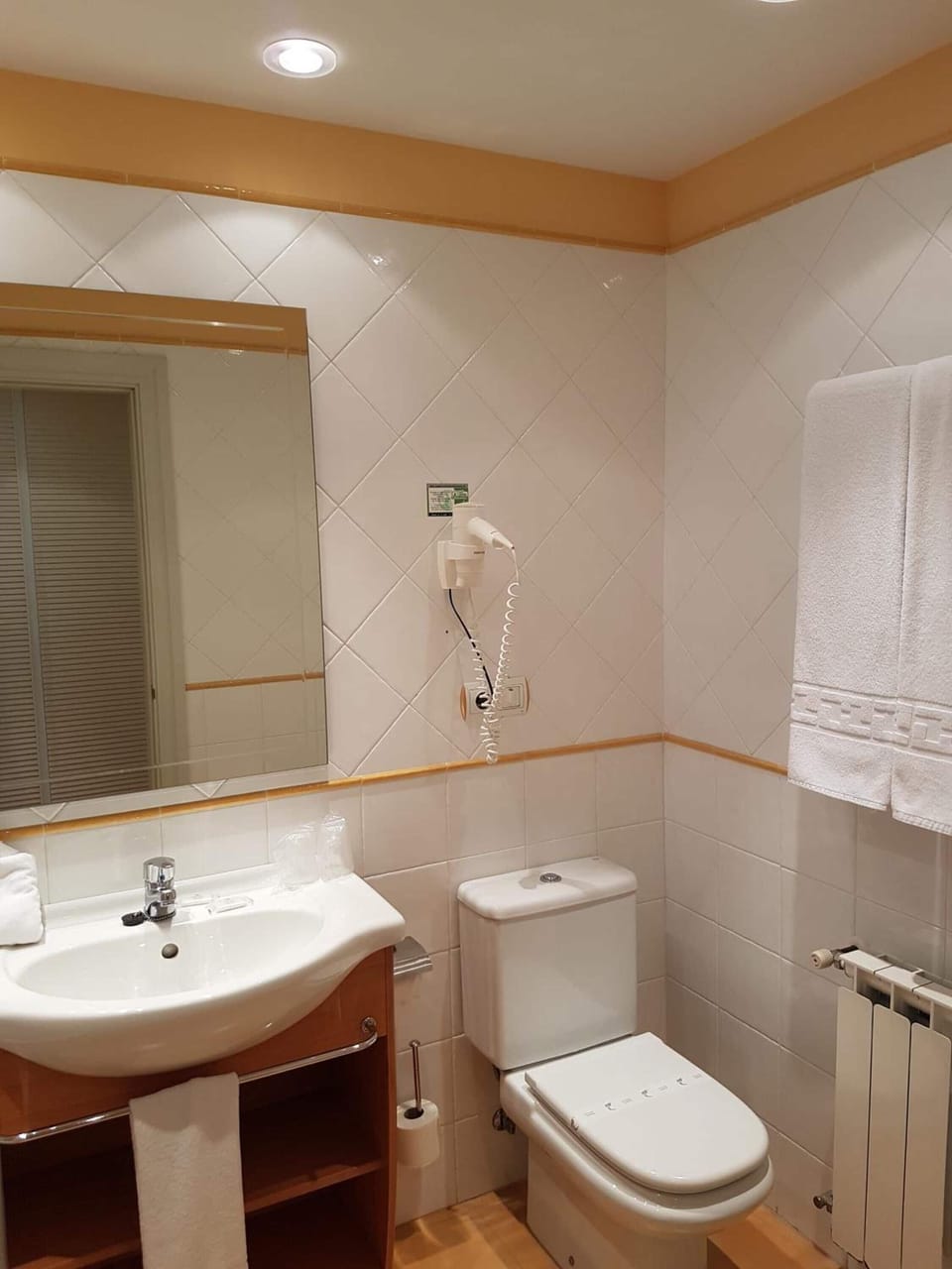 Combined shower/tub, free toiletries, hair dryer, towels