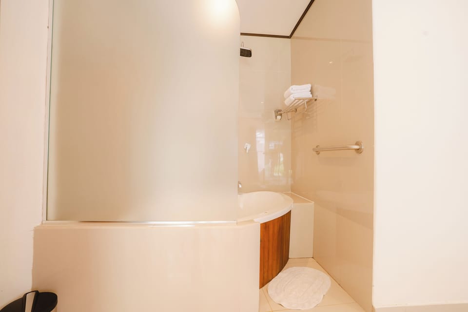 Deluxe Room | Bathroom | Shower, free toiletries, towels
