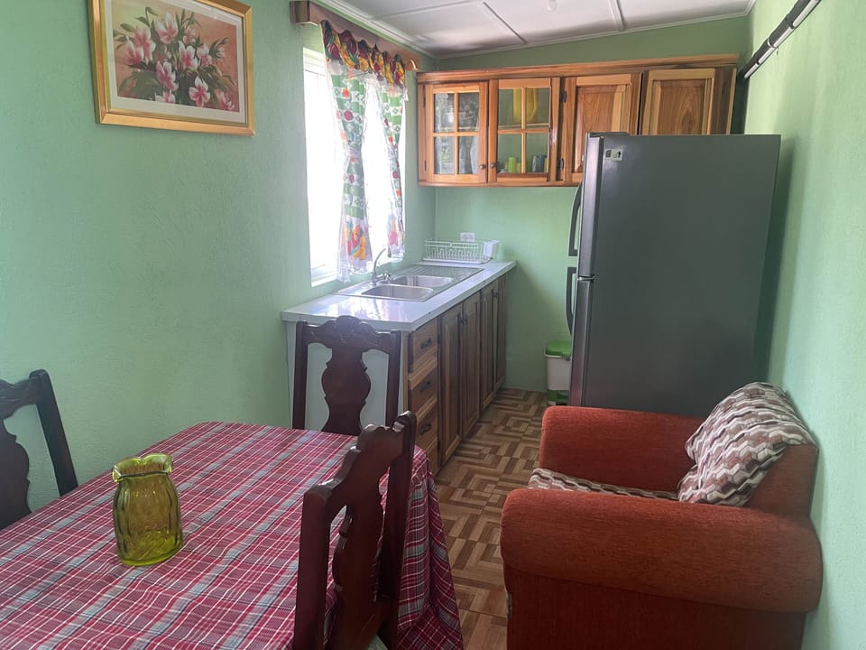 Standard Apartment, 1 King Bed, Kitchenette | Private kitchen | Fridge, microwave (on request), electric kettle