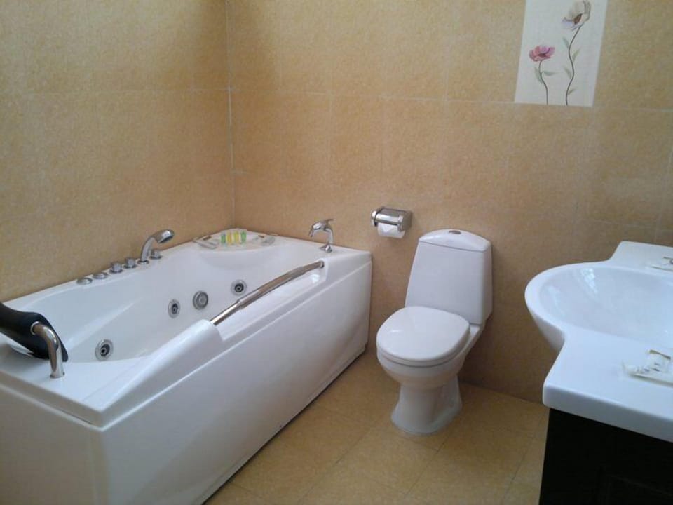 Bathtub, free toiletries, hair dryer, bathrobes