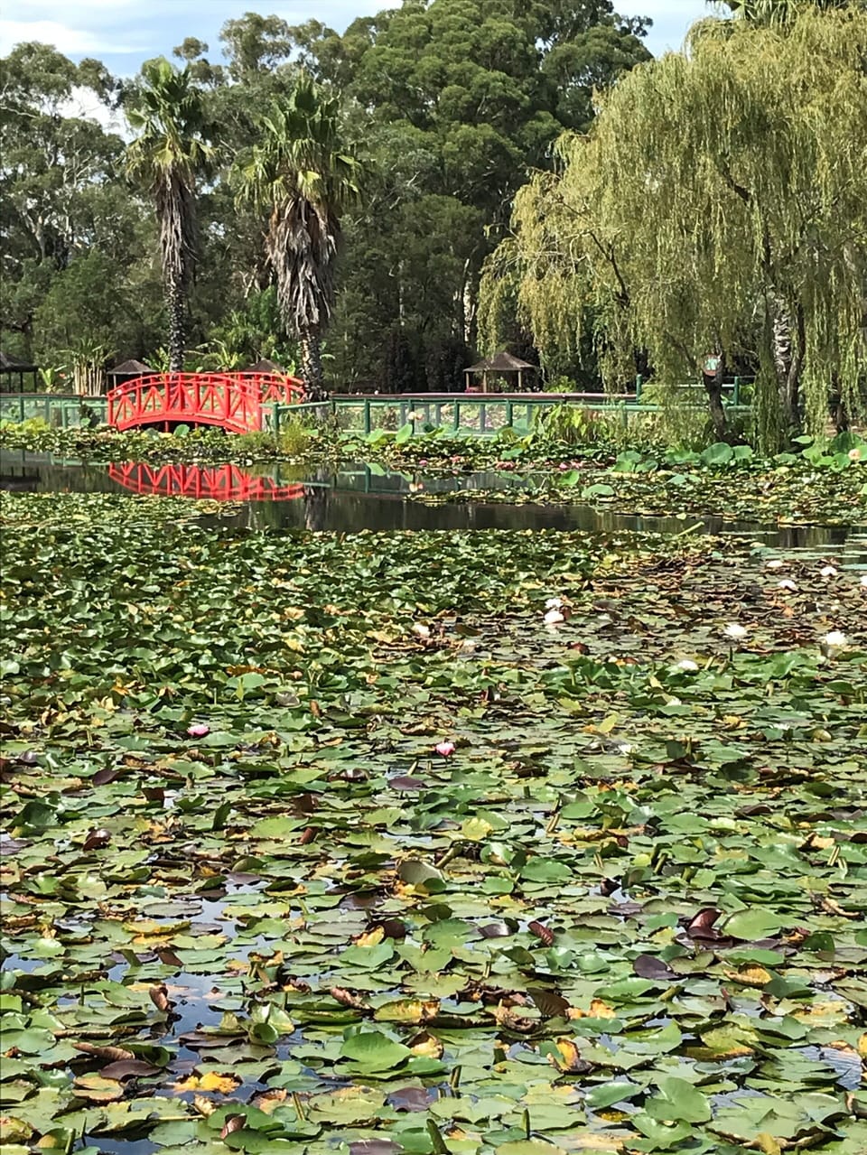 Hiking