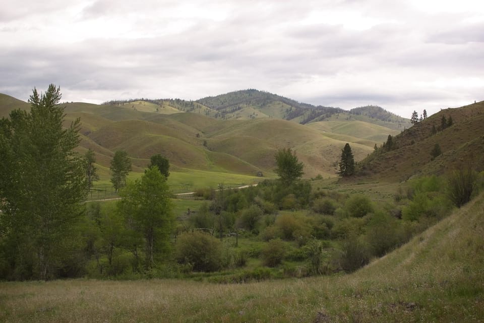 Luxury Cabin, 1 Bedroom (Willow) | Mountain view