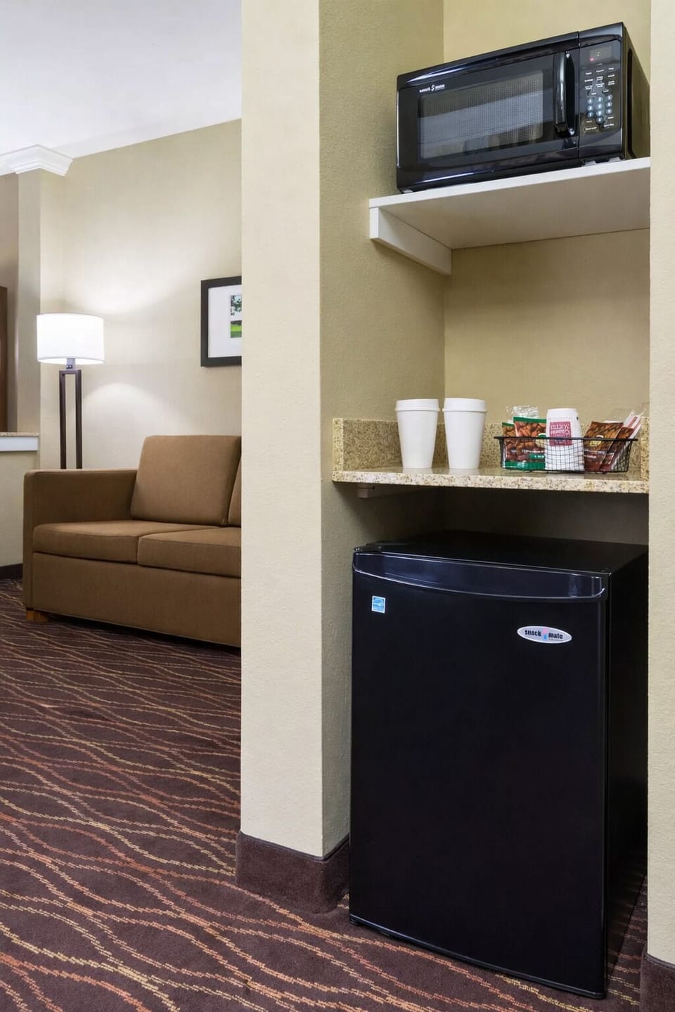 Mini-refrigerator