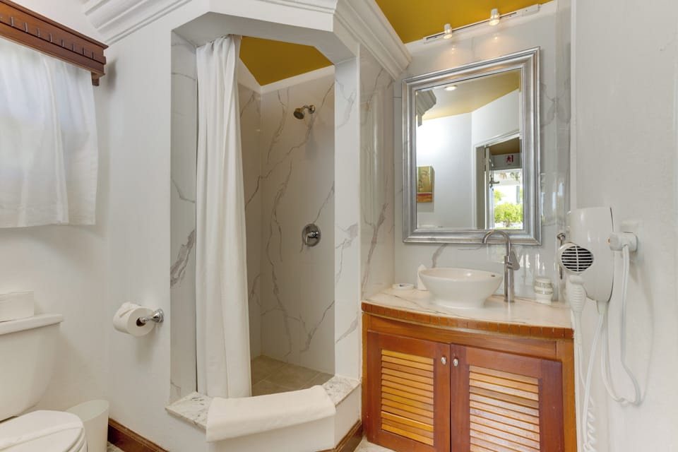 Deluxe Villa, 1 King Bed | Bathroom | Free toiletries, hair dryer, towels, soap