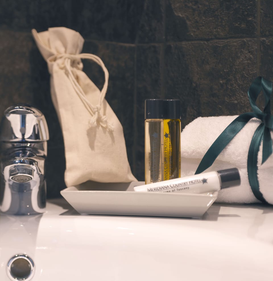 Shower, free toiletries, hair dryer, bidet