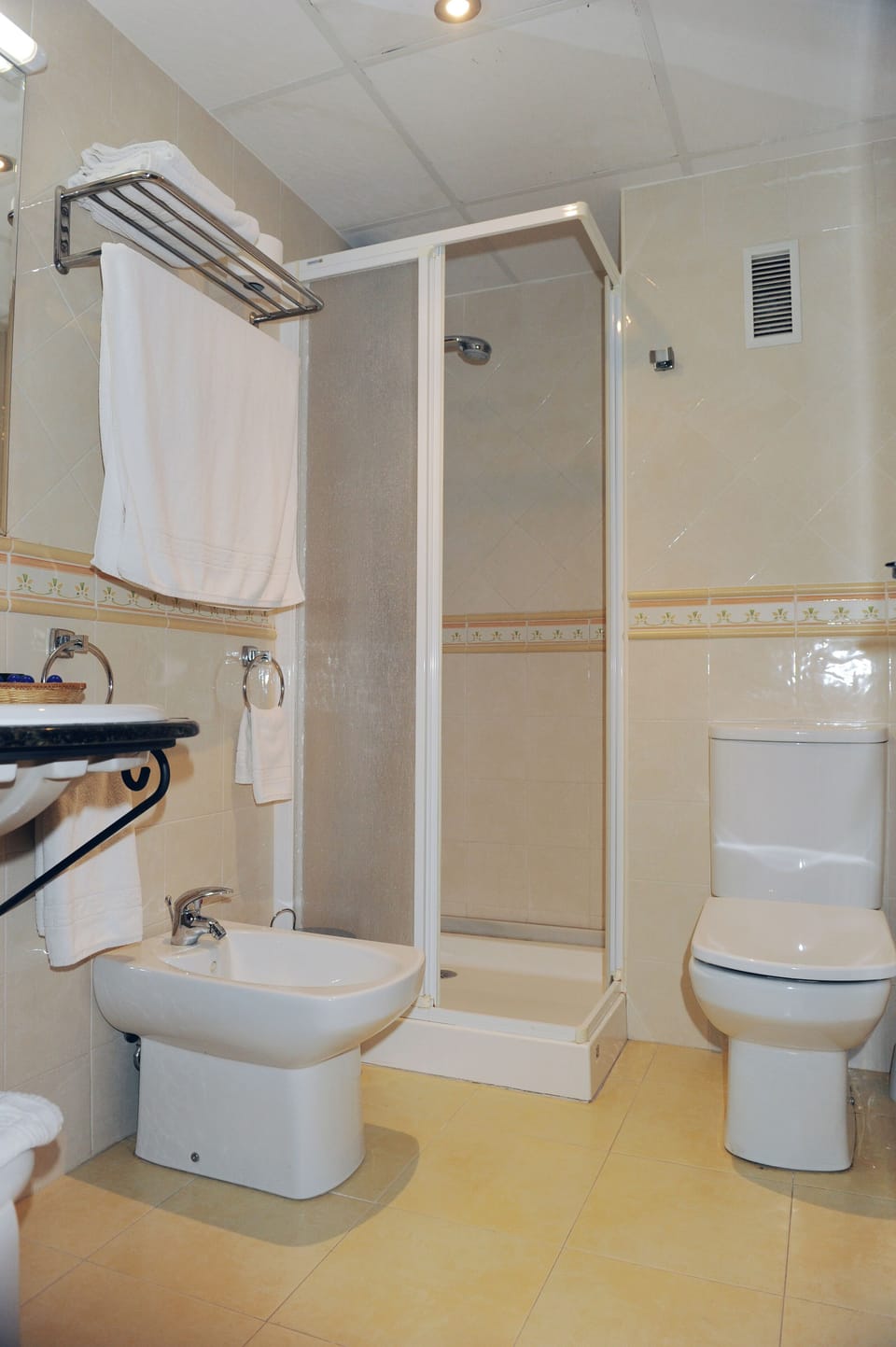 Standard Double Room | Bathroom | Free toiletries, hair dryer, bidet, towels