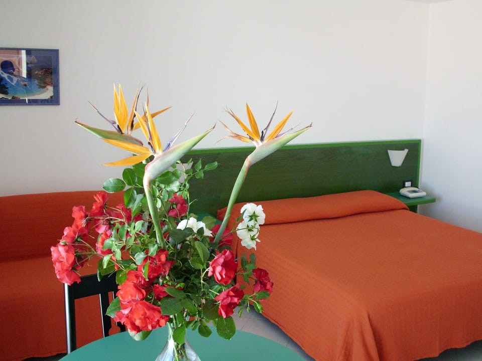 Minibar, in-room safe, desk, blackout drapes