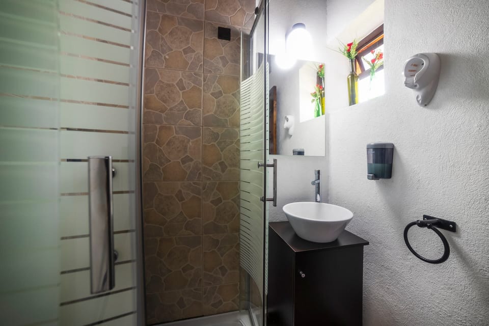 Shower, hair dryer, slippers, towels