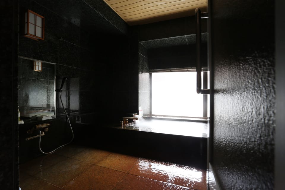 Free toiletries, hair dryer, slippers, electronic bidet