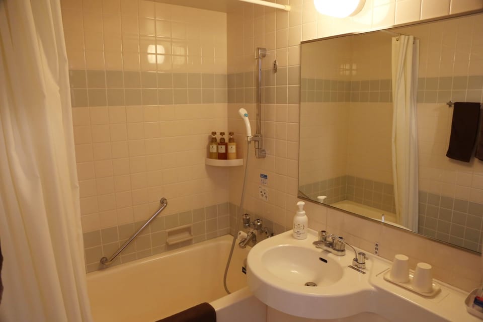 Free toiletries, hair dryer, slippers, electronic bidet