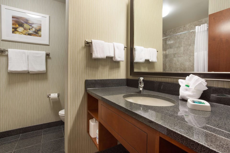 Combined shower/tub, free toiletries, hair dryer, towels