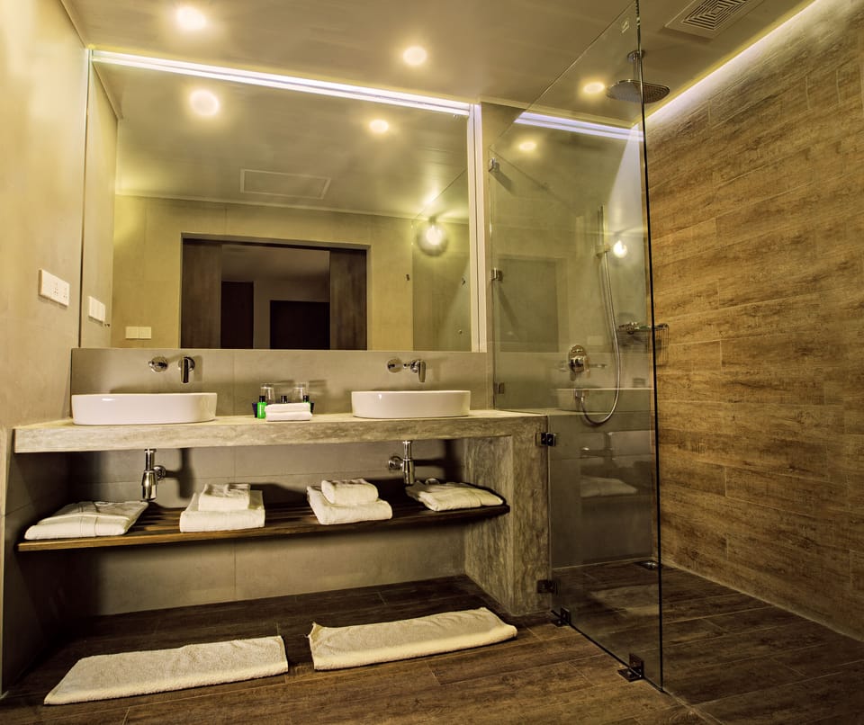 Shower, free toiletries, hair dryer, bidet